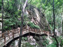 -大岭沟猕猴桃谷风景区