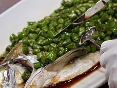 -新光酒家·河豚·海鲜·蟹料理(浦东店)