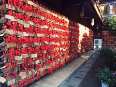 -峨眉山报国寺