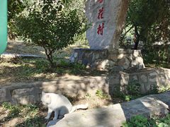 -北京凤凰岭