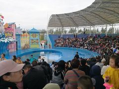 -华夏文旅海洋公园