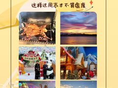 -灵玲国际马戏城