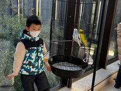 -上海崇明金茂凯悦酒店