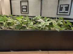 -瑞幸咖啡(水平方店)