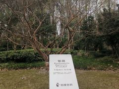 -苏州河梦清园环保主题公园