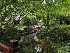-中国茶叶博物馆(双峰馆区)