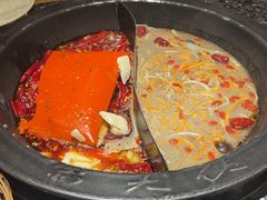 -蜀大侠火锅(总府路店)