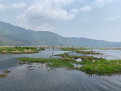 -腾冲北海湿地