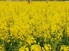 -金堂县云顶石城风景区