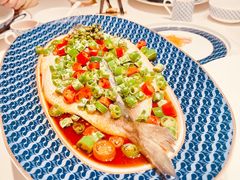 四川鲜花椒蒸东海大黄鱼-炳胜私厨(万象前海店)