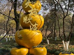 -西溪国家湿地公园