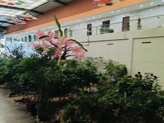 -君临七星生态酒店