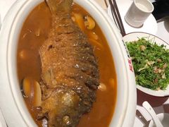 -阿五黄河大鲤鱼(纬三路店)