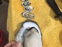 -蚝专家(北滘店)