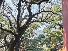 -普陀山慧济禅寺