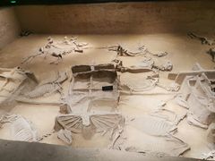 -洛阳周王城天子驾六博物馆