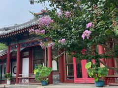 -宫事颐庭·老佛爷贵寿下午茶(颐和园店)