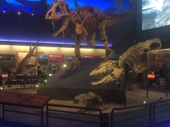 -贝林大翅鲸简餐厅(国家海洋博物馆店)