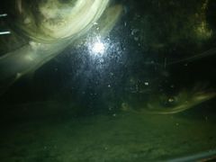 android_upload_pic-永安鱼庄·镇江菜(东吴路店)