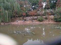 -无锡动物园·太湖欢乐园
