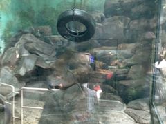 -福州罗源湾海洋世界旅游区