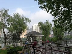 -西北湖绿化广场