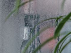 -随柳居·苏式小吃(建新巷店)