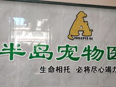 -半岛宠物医院24小时(科华中路店)