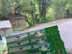 -西双版纳原始森林公园