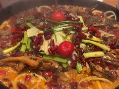 -老板恋上鱼(恒隆广场店)