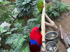 -南宫五洲植物乐园