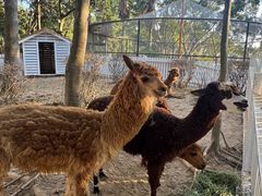 -东南花都花博园