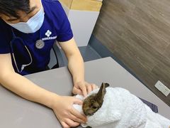 -爱侣宠医·鹦鹉专科·小型哺乳类·异宠专科(灵石路店)