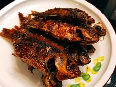 河鲫鱼-阿凡海鲜(甬港北路店)