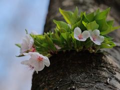 -川悦壹号·川菜(蠡溪路店)