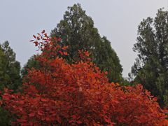 -府君山公园