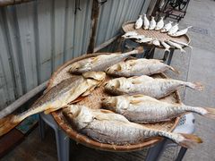 -大澳