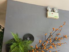 -菌彩云南野生菌火锅(万达广场店)