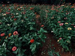 -盘龙城国家考古遗址公园