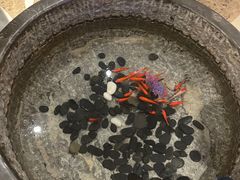-口味堂(惠济路店)