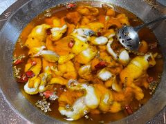 蜀龙阁水煮鱼-雲蜀龙阁·金牌水煮鱼(方庄店)