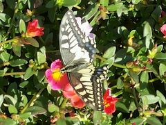 -武清南湖绿博园