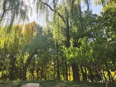 -元大都城垣遗址公园