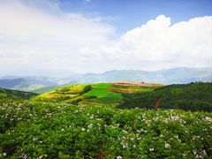 -红土地风景区