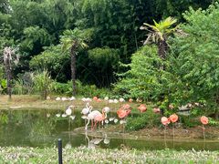 -杭州野生动物世界