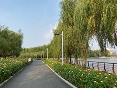 -长春公园(普阳街道)