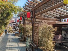 -慢丽江·云南野生菌土鸡锅(付家庄店)