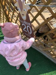 -萌宠亲子动物乐园(槐房万达店)