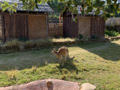 -泉州海丝野生动物世界