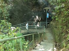 -攀枝花公园